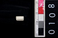 藏品(玉管珠)的圖片