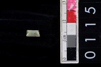 藏品(玉管珠)的圖片