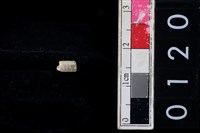 藏品(玉管珠)的圖片