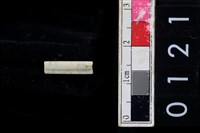 藏品(玉管珠)的圖片