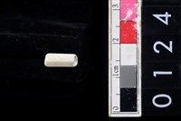 藏品(玉管珠)的圖片