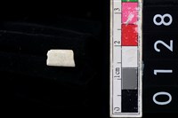 藏品(玉管珠)的圖片