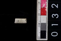 藏品(玉管珠)的圖片