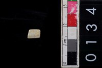 藏品(玉管珠)的圖片