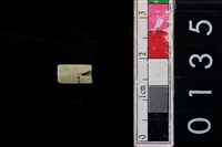 藏品(玉管珠)的圖片