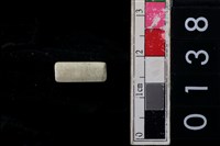 藏品(玉管珠)的圖片