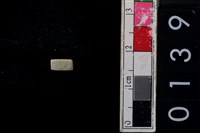 藏品(玉管珠)的圖片