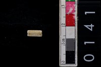 藏品(玉管珠)的圖片