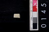 藏品(玉管珠)的圖片