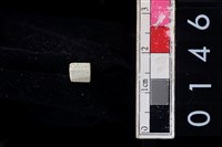 藏品(玉管珠)的圖片