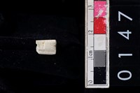 藏品(玉管珠)的圖片