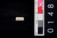 藏品(玉管珠)的圖片