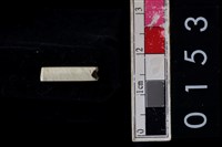 藏品(玉管珠)的圖片