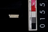 藏品(玉管珠)的圖片