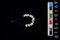 藏品(玉管珠)的圖片