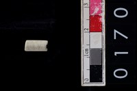 藏品(玉管珠)的圖片