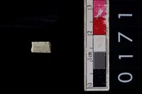 藏品(玉管珠)的圖片