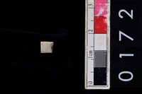 藏品(玉管珠)的圖片