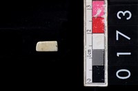 藏品(玉管珠)的圖片