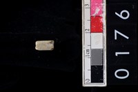 藏品(玉管珠)的圖片