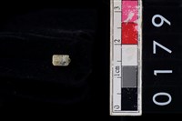 藏品(玉管珠)的圖片