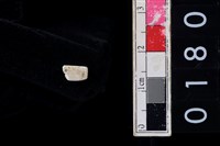 藏品(玉管珠)的圖片