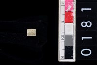 藏品(玉管珠)的圖片