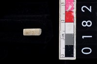 藏品(玉管珠)的圖片