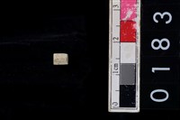 藏品(玉管珠)的圖片