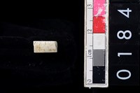 藏品(玉管珠)的圖片