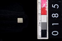 藏品(玉管珠)的圖片