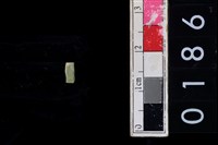 藏品(玉管珠)的圖片