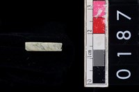 藏品(玉管珠)的圖片