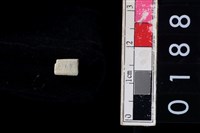 藏品(玉管珠)的圖片