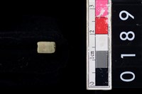 藏品(玉管珠)的圖片