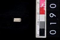 藏品(玉管珠)的圖片