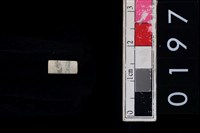 藏品(玉管珠)的圖片