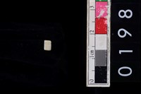 藏品(玉管珠)的圖片