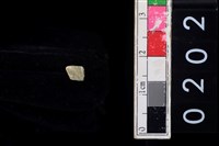 藏品(玉管珠)的圖片