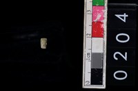 藏品(玉管珠)的圖片