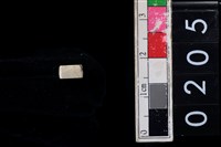 藏品(玉管珠)的圖片