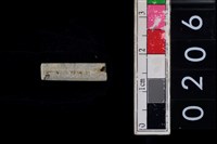 藏品(玉管珠)的圖片