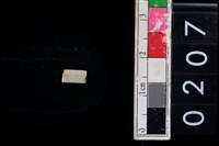 藏品(玉管珠)的圖片