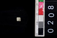 藏品(玉管珠)的圖片