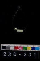 藏品(玉管珠)的圖片