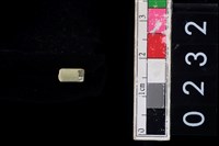 藏品(玉管珠)的圖片