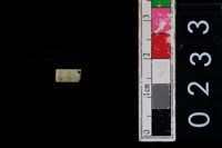 藏品(玉管珠)的圖片