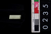 藏品(玉管珠)的圖片