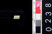 藏品(玉管珠)的圖片