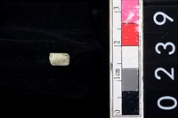 藏品(玉管珠)的圖片